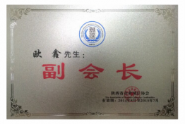 图片10
